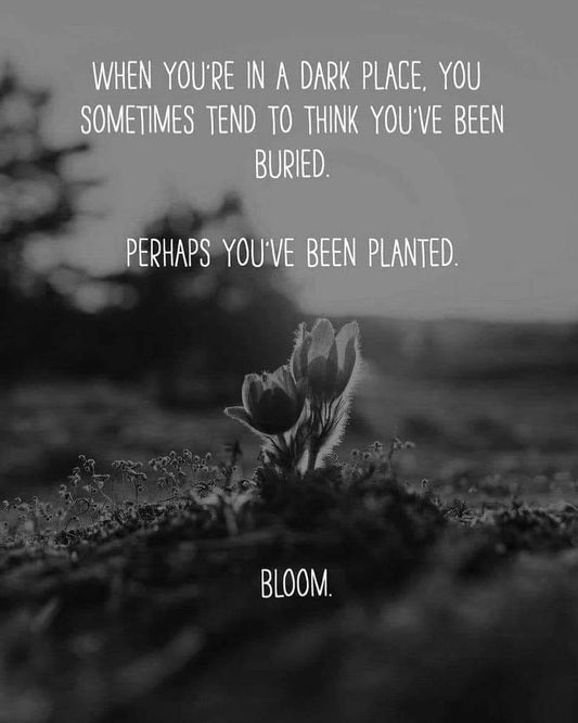 Have You Been Buried or Planted?