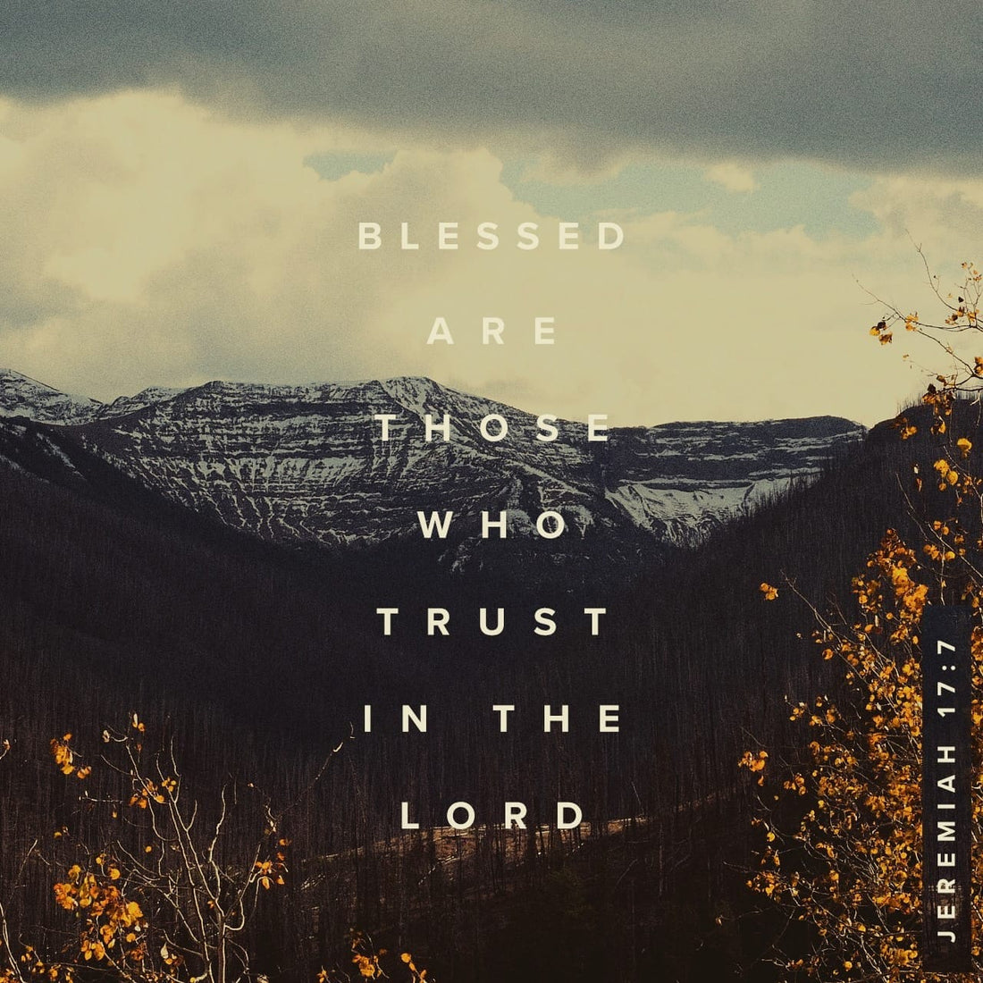 Blessed are you who trust in the Lord